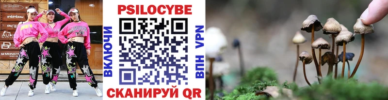 цены   Уссурийск  Галлюциногенные грибы мицелий 