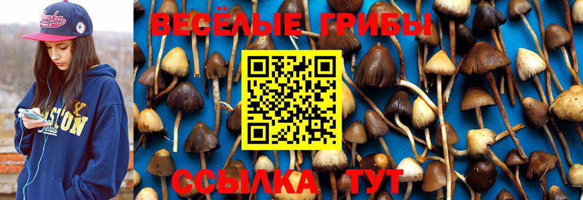 Уссурийск  Псилоцибиновые грибы прущие грибы  Вход с VPN 